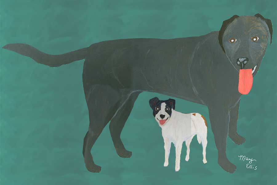 Lucy and Kricket