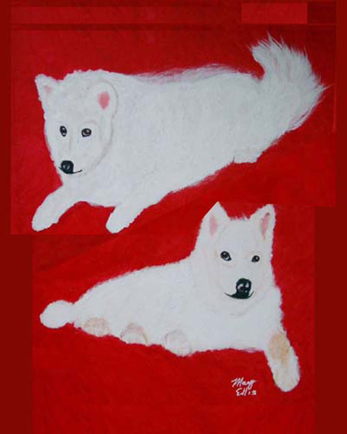 Snowy and Poncho