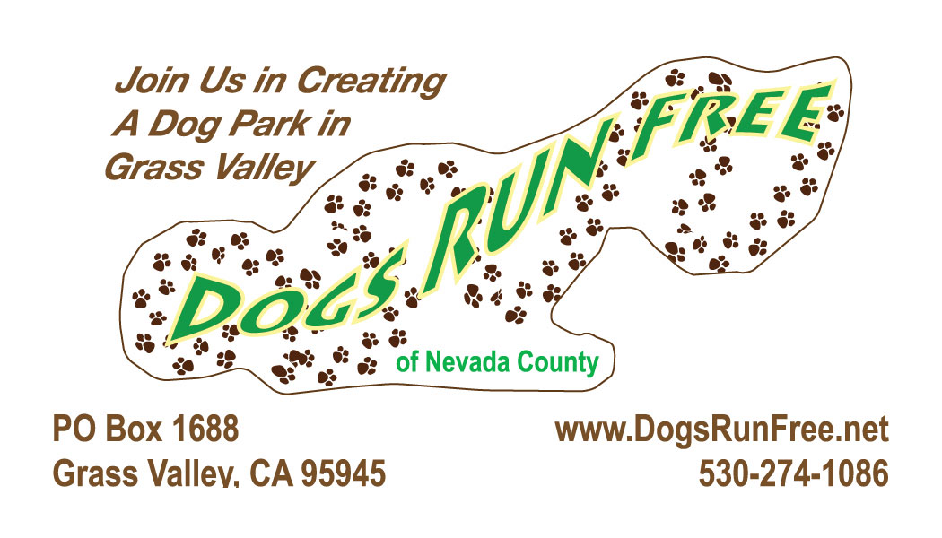 Dogs Run Free