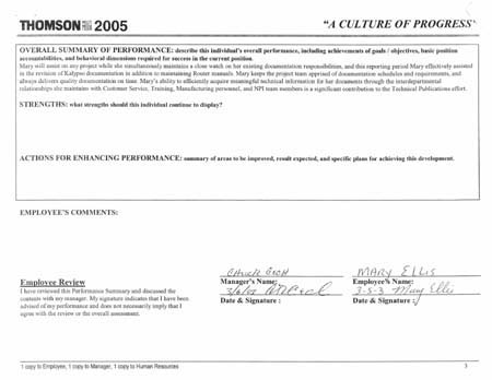 Performance Review 1996