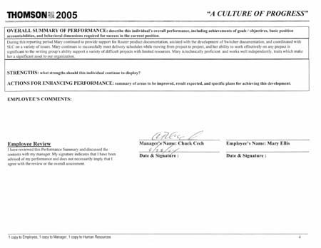 Performance Review 1996